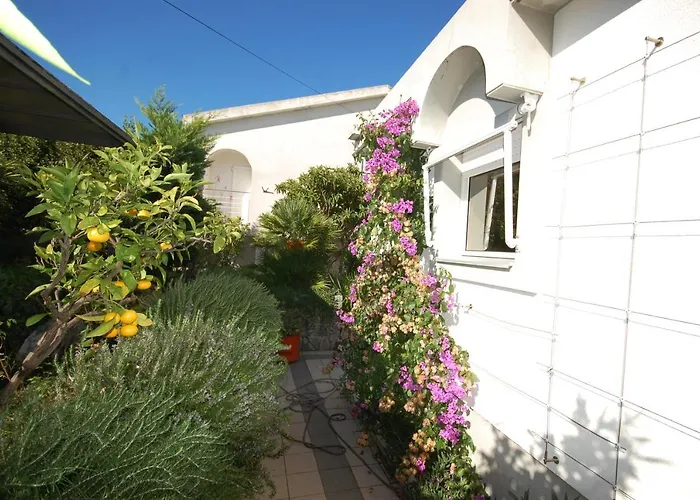 Jazz By El-pi Tours *