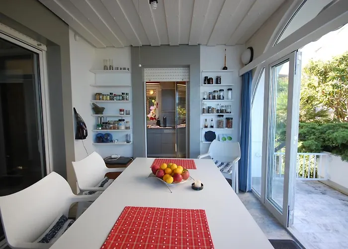 Jazz By El-pi Tours * Vantacici