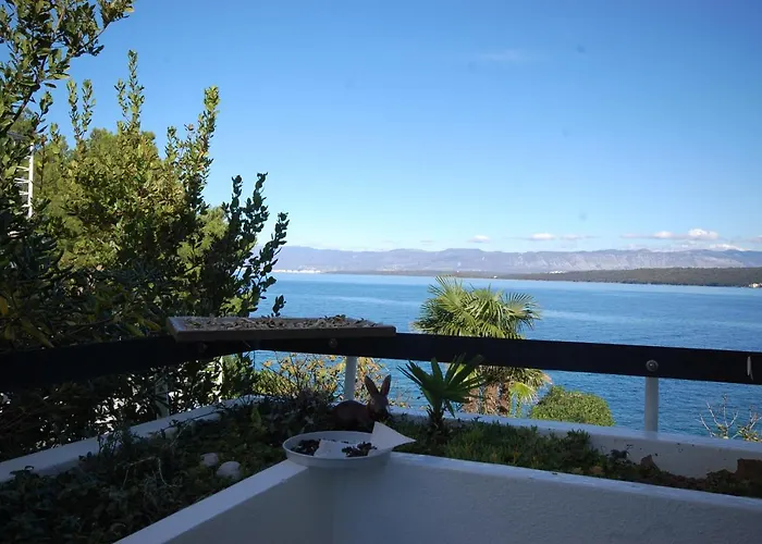 Jazz By El-pi Tours * Vantacici