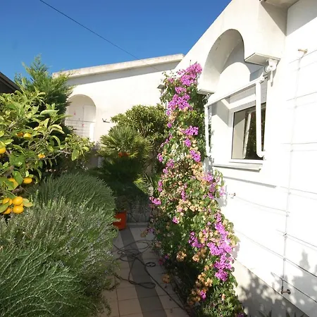 Jazz By El-pi Tours *